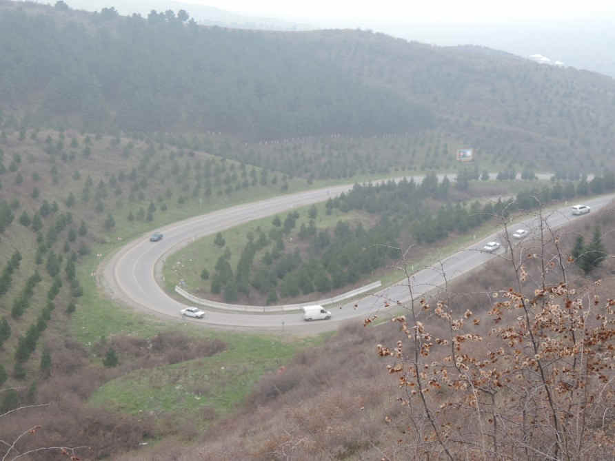 Uzaq sahillərdə: Veselinin ata evi və faşist Əlağa -  FOTO